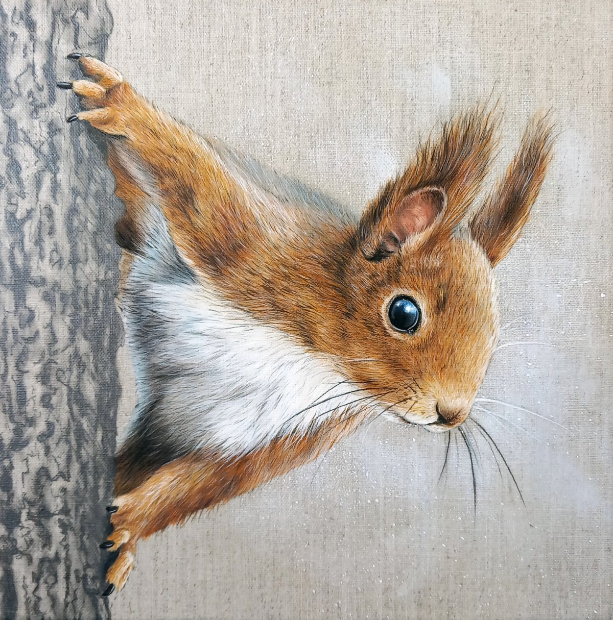 ecureuil sur tronc (1)