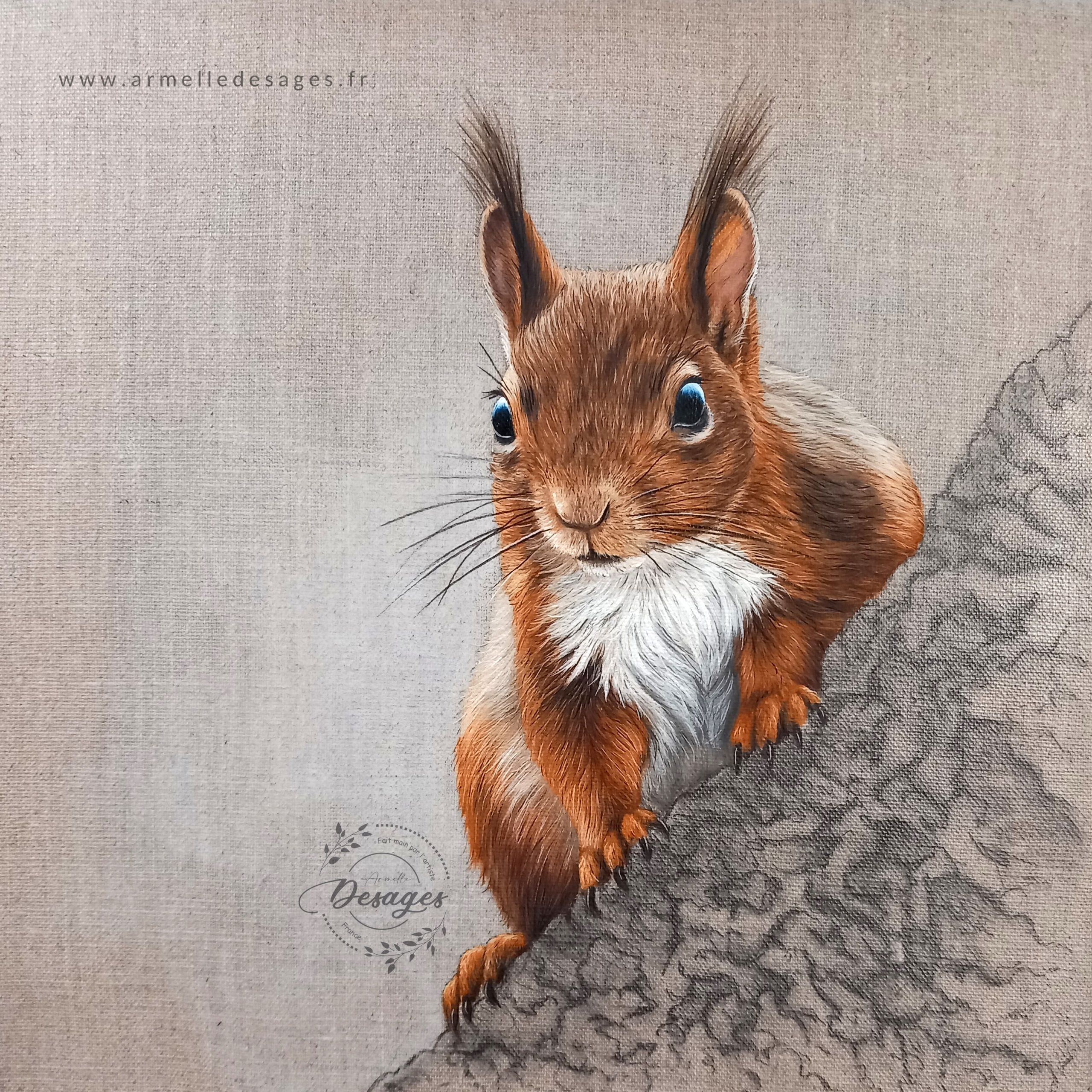 ecureuil curieux logo